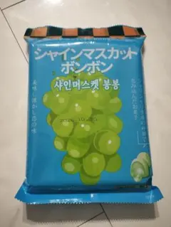 2025年最新】シャインマスカットボンボンの人気アイテム - メルカリ