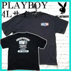 Item thumbnail for item ad1122cd-8200-47fb-ac3a-b1d74e2eb2ad