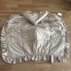 Item thumbnail for item a5fa680d-177f-4a49-9fb8-45f63055026e