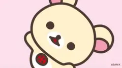 専用ページ
