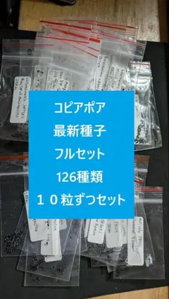 2026年最新】コピアポア 種子の人気アイテム - メルカリ