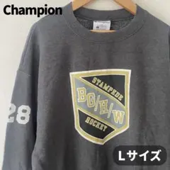 champion チャンピオン カレッジロゴ スウェット ストリート スポーツ