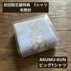 2026年最新】野田洋次郎の人気アイテム - メルカリ