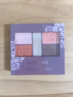 CANMAKE パーフェクトスタイリストアイズ 22