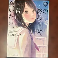 夢の終わりで、君に会いたい。