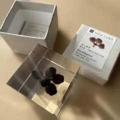 ウサギノネドコ　ソラキューブ　sola cube　ユーカリ