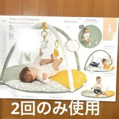 F＆M アルビオン、アッサムTGFOP125g、ラプサンスーチョン125g - メルカリ