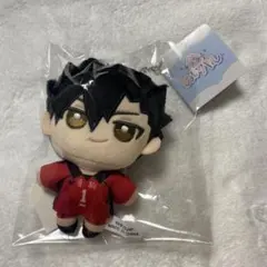 ハイキュー！！ 音駒 黒尾鉄朗 ぬいパル ぬいぐるみキーホルダー