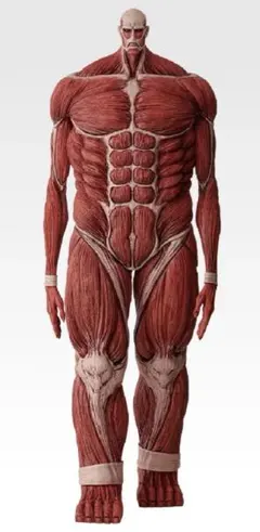 2026年最新】超大型巨人 フィギュア 一番くじの人気アイテム - メルカリ
