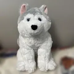 Item thumbnail for item 2e9f09ba-8313-4692-800e-ed95ba0e2668