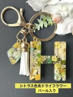 H イニシャルキーキーホルダー　シトラス色系ドライフラワー　パール入り　レジン