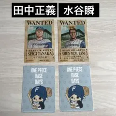 Item thumbnail for item 7c861187-49e1-4a27-9393-aa3ba8f8e655