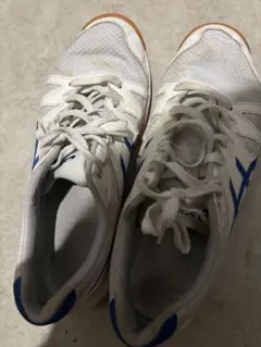 asics アシックス スポーツシューズ ホワイト×ブルー　27.5