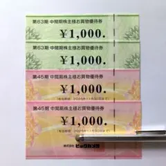 ビックカメラコジマ　 株主優待券　4000円分