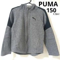 プーマ PUMA フード付きジャケット パーカー　150