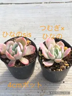 minto39様 リクエスト 4点 まとめ商品