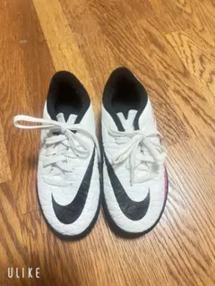 Item thumbnail for item 6fd73190-cbbd-4575-850e-9043a7df9394