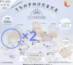 うちの子のけだまだま　柴犬