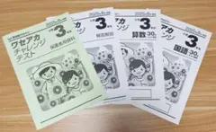 早稲田アカデミー ワセアカチャレンジテスト 小学3年生 2025年8月のサムネイル