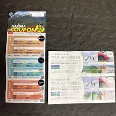 即発送！岩岳 つがいけ 八方尾根 ゴンドラ 竜王ロープウェイ 半額 50%割引券