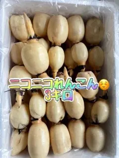 ちろ様専用芽バス　れんこん　産直　80サイズの箱詰め放題