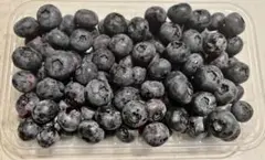 【筑波山麓産】農薬不使用　特大(15ミリ程度) ブルーベリー 生 約300gのサムネイル