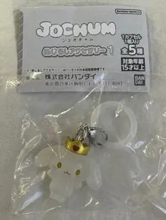 RURU JOCHUM めじるしアクセサリー