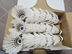 バドミントン　中古シャトル　ゴーセン　adidas　THOMAS CUP　21個