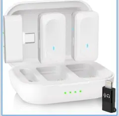 Item thumbnail for item 4568596a-72bb-475d-ad71-8c6128271f8a