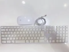 Item thumbnail for item 09738038-f834-4737-84a5-383529490f82