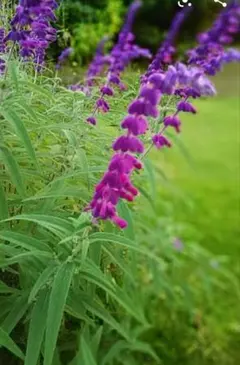 みゆ様 リクエスト 4点 まとめ商品