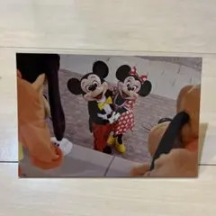 東京ディズニーリゾート ミッキー ミニー ポストカード