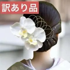 【訳あり品】髪飾り　胡蝶蘭　和装　水引