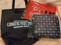 未開封★LUNATIC FEST 2025 VIP SEAT★三点セット