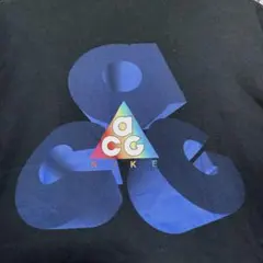NIKE ACG Tシャツ