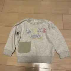 ビームスミニ100