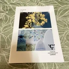 SEVENTEEN CARAT MAGAZINE VOL.12