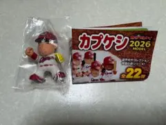 2026年最新】カプケシの人気アイテム - メルカリ