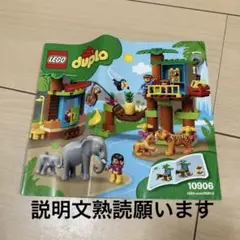 LEGO DUPLO 10906 世界のどうぶつ ジャングルセット