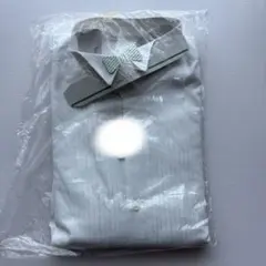 Item thumbnail for item 8931f906-ce6b-4963-9586-1151dd0db358