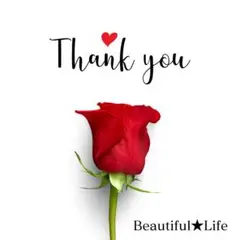 人毛100%プレミアム✨最高級レースフロント総手植えフルウィッグ