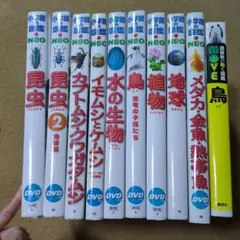 小学館の図鑑NEO　＋MOVE鳥　セット