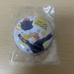 ハイキュー!! Playingマスコット 缶バッジ 日向翔陽