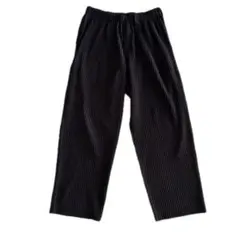 HOMME PLISSE ISSEY MIYAKE サイズ2
