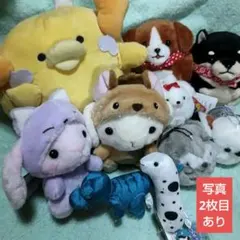 ぬいぐるみ まとめ売り