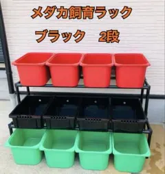 2026年最新】メダカラックの人気アイテム - メルカリ