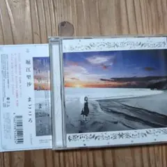 堀江里沙 まこころ CD