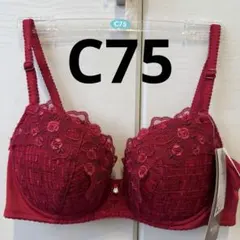 Item thumbnail for item 774f9140-4c5b-4299-ab54-80a51e6d0c65