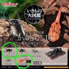 いきもの大図鑑　かぶとむし10　オンライン限定