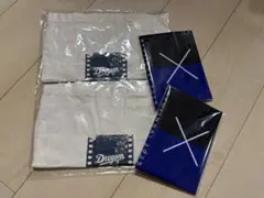 中日ドラゴンズ　応援グッズ